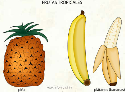 Frutas tropicales (Diccionario visual)